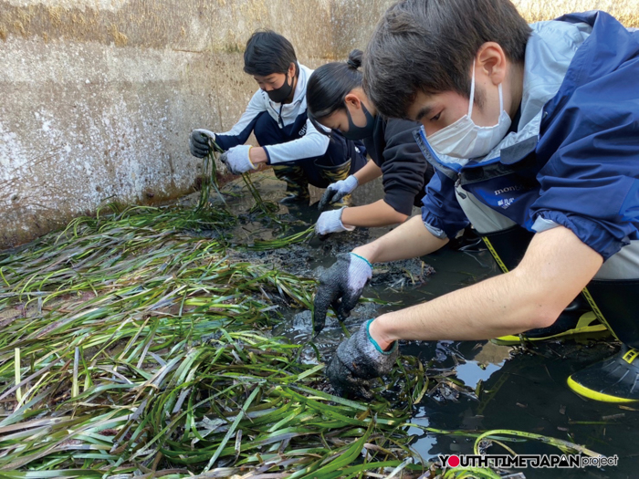  福井県立若狭高等学校 スキューバダイビング部「サンゴに隠れている魚やウミガメ、たくさん海の生物を見て、触れ合える」【Spotlight VOL.60】